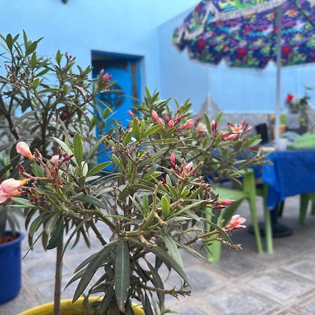 Casa Morisca Villa Sidi Ifni Buitenkant foto