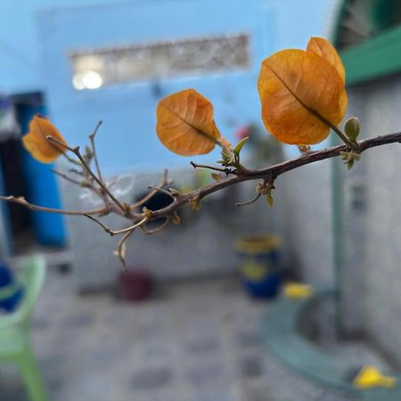 Casa Morisca Villa Sidi Ifni Buitenkant foto