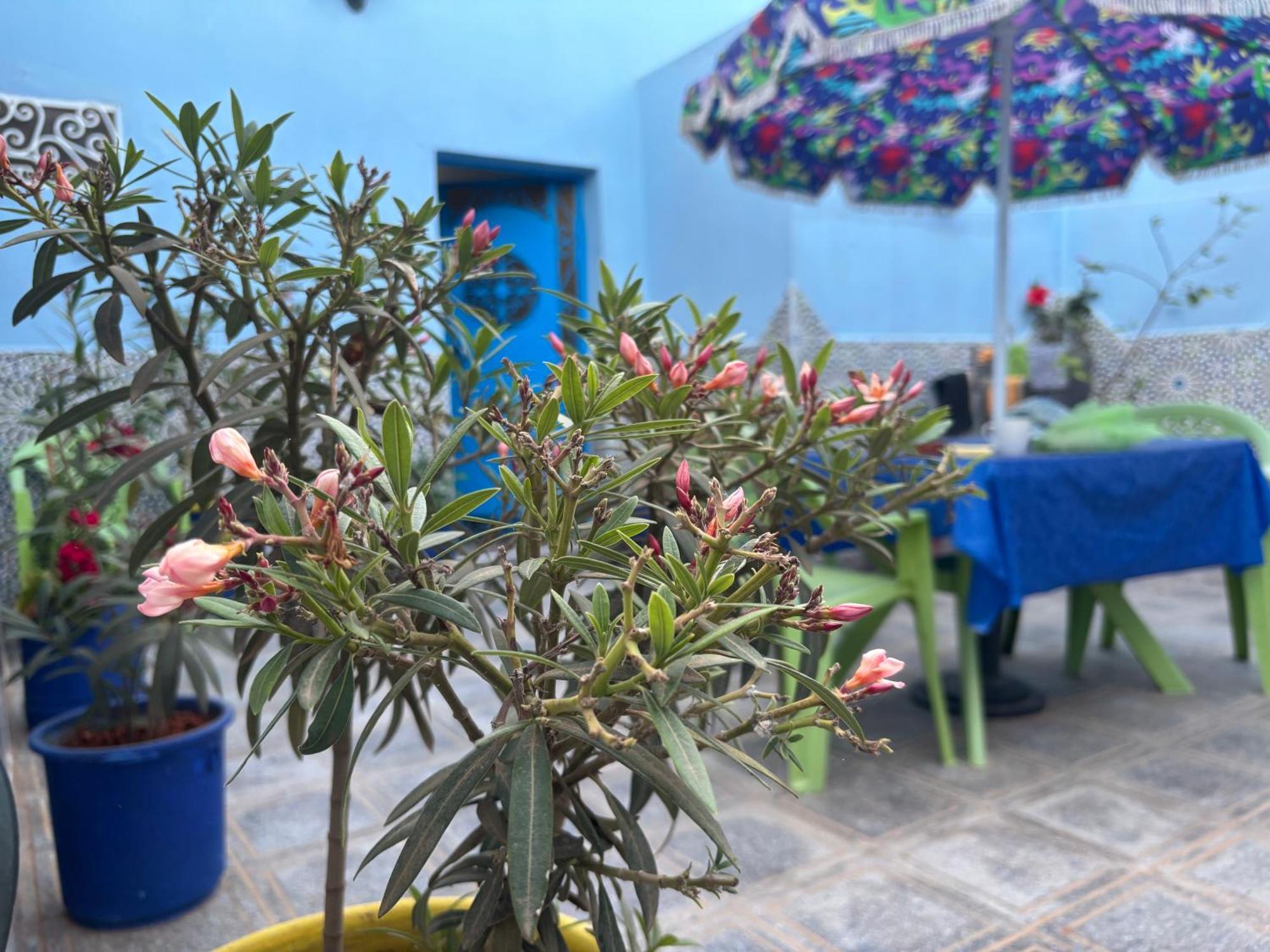 Casa Morisca Villa Sidi Ifni Buitenkant foto