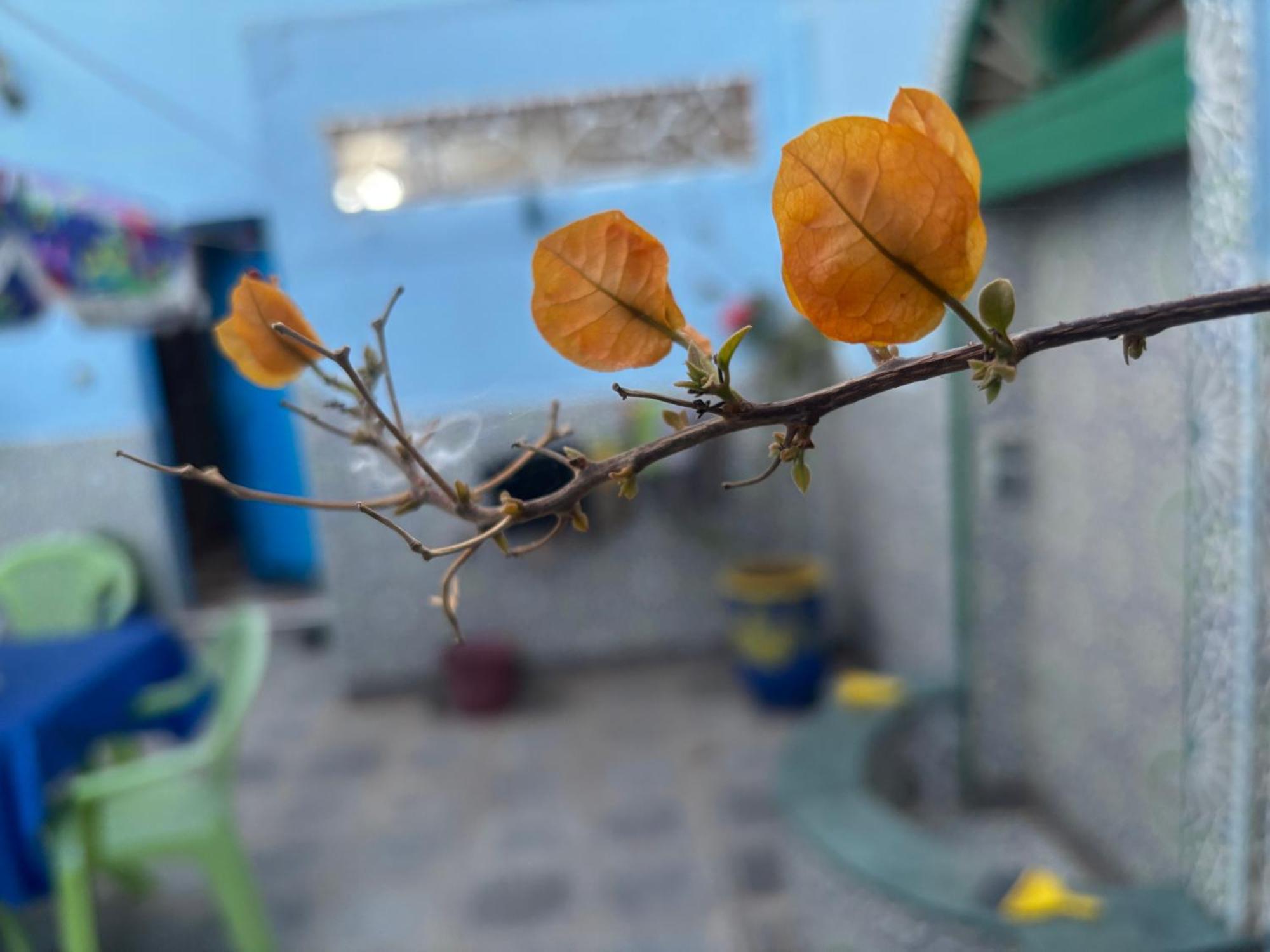Casa Morisca Villa Sidi Ifni Buitenkant foto