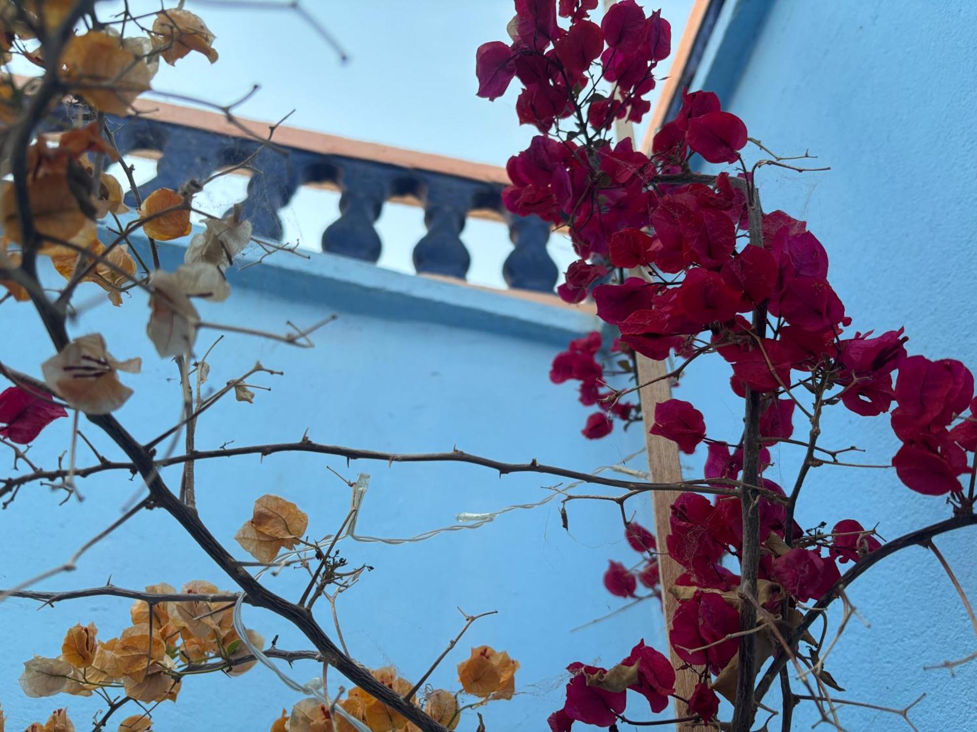 Casa Morisca Villa Sidi Ifni Buitenkant foto